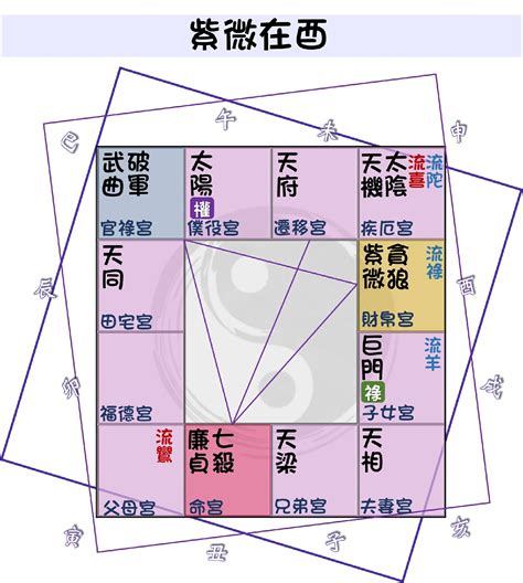 廉貞長相|紫微命盤解析——廉貞、天相星在子、午宮